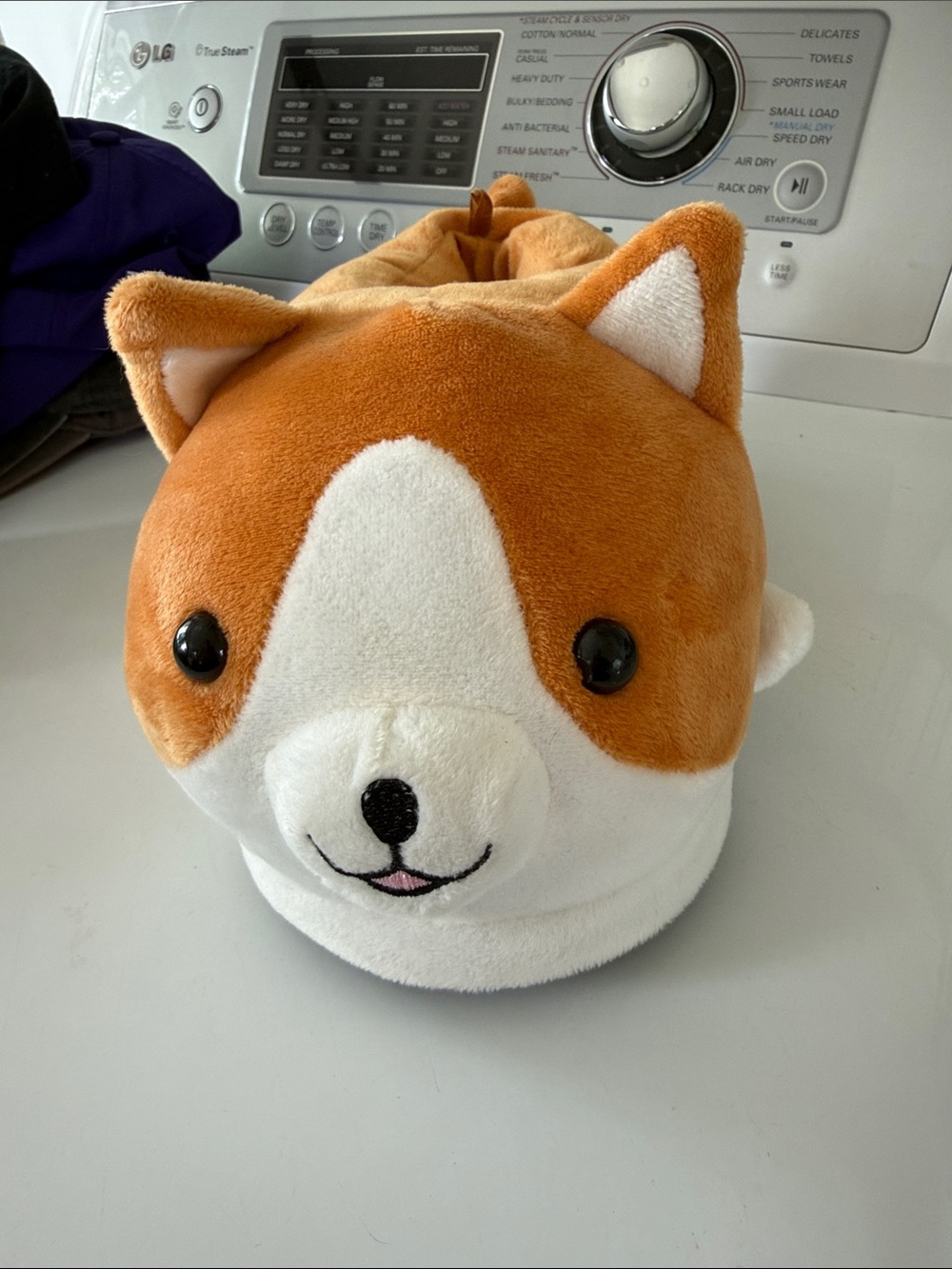 Kids Corgi Slippers